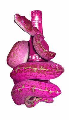 la vi en rose
